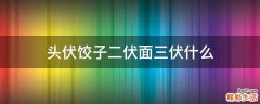头伏饺子二伏面三伏什么