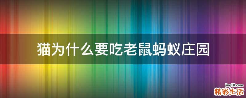 猫为什么要吃老鼠蚂蚁庄园