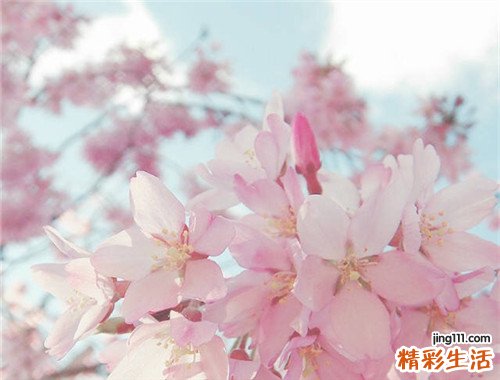 冬至的来历