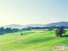 心电图怎么看冠心病