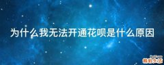 为什么我无法开通花呗是什么原因