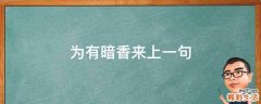为有暗香来上一句