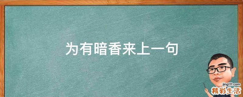 为有暗香来上一句
