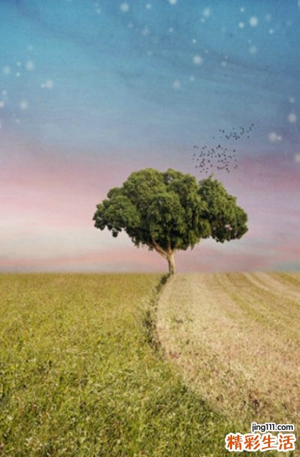 熬夜后救急护肤品