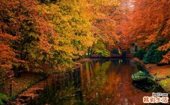 路邊怎么停車位