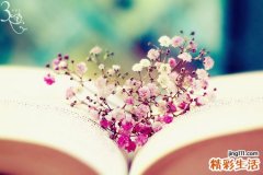 直肠内尖锐湿疣症状