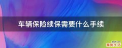 车辆保险续保需要什么手续