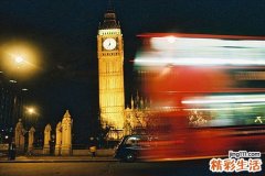 世界最小的鸟是什么鸟