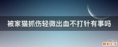 被家猫抓伤轻微出血不打针有事吗