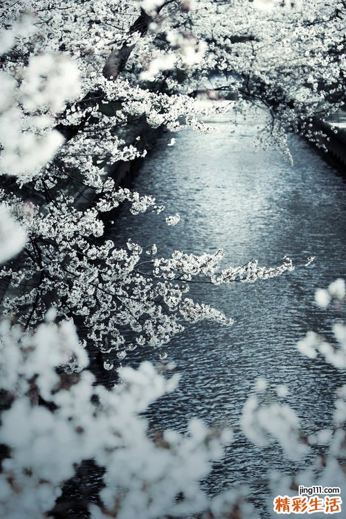 女人会得肾衰竭吗