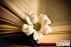 西餐刀叉勺如何摆放