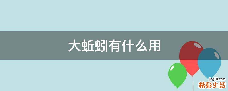 大蚯蚓有什么用