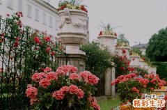 新概念：食物血糖生成指数！