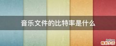 音乐文件的比特率是什么