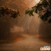 解析“家庭式癌症”