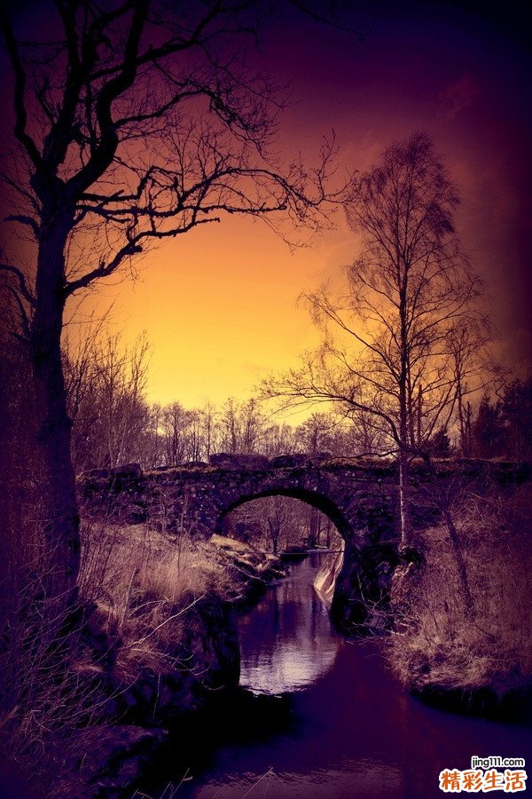 卵巢瘤都有哪些