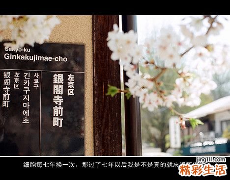 3 半脸女孩的辛酸整形经历