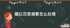 藏红花受潮要怎么处理