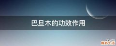 巴旦木的功效作用