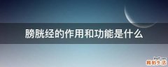 膀胱经的作用和功能是什么