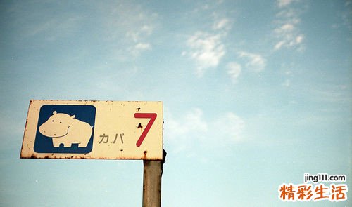 胃和胰腺位置关系——胃