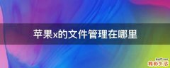苹果x的文件管理在哪里