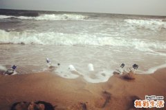 纳豆非“仙豆” 治疗奇效纯属虚构