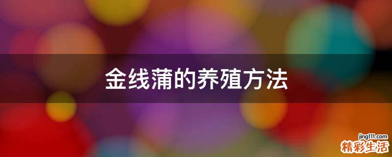金線蒲的養(yǎng)殖方法