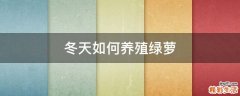 冬天如何养殖绿萝