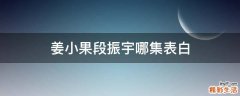 姜小果段振宇哪集表白