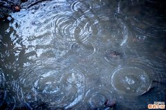 胸部按压挽救猝死更有效