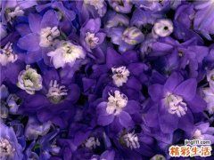 女性肾病综合症的早期症状