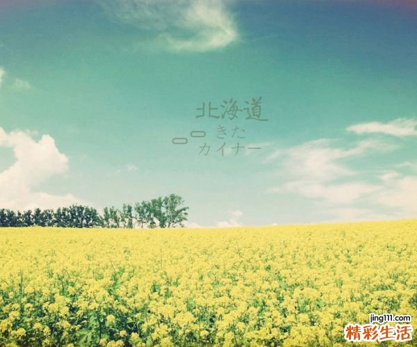 梦见白猫是什么意思