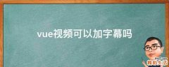 vue视频可以加字幕吗