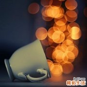 夏季养生祛湿汤