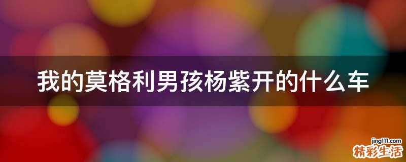 我的莫格利男孩楊紫開的什么車