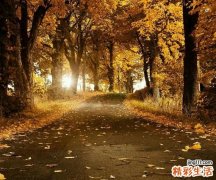 Klippel-Feil综合征合并脑膜膨出1例