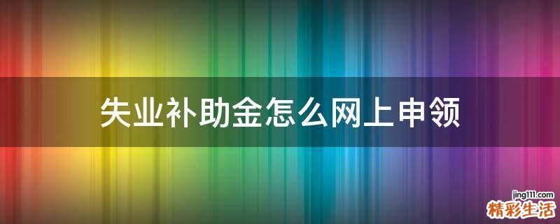 失业补助金怎么网上申领