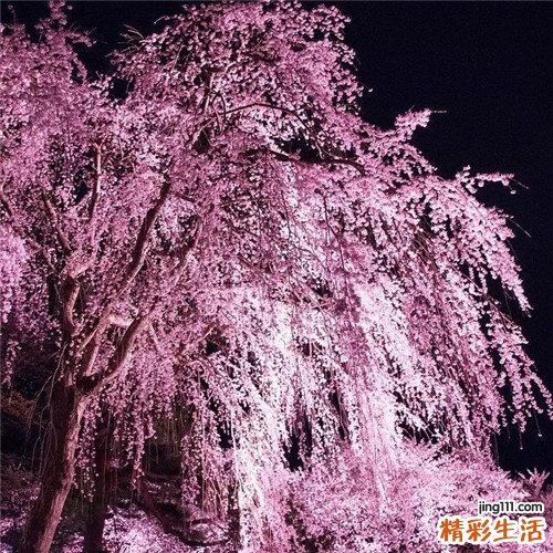 白癜風(fēng)有什么偏方嗎
