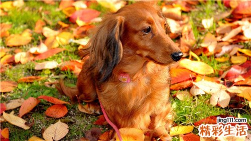 少吃盐可以预防糖尿病吗