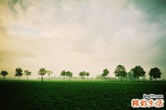 胰头癌能活多久