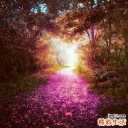 米酒含糖量是多少