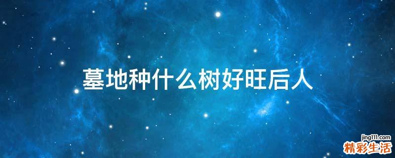 墓地种什么树好旺后人