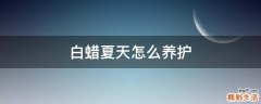 白蜡夏天怎么养护