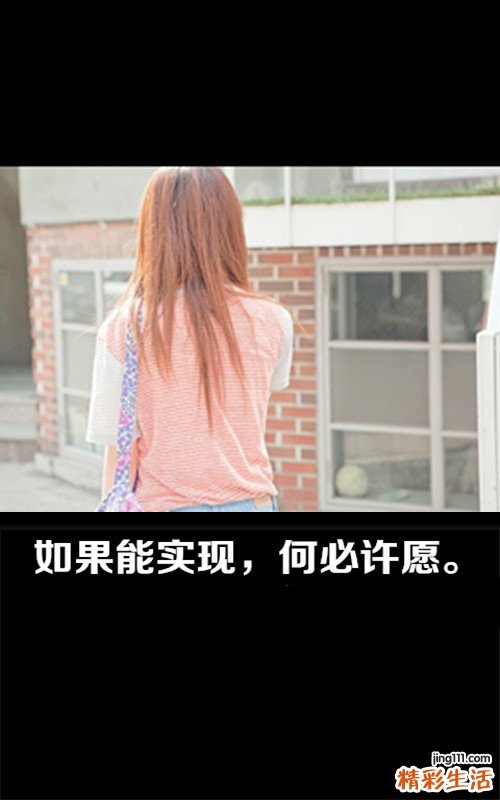 3 龟甲胶