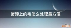 猪蹄上的毛怎么处理最方便