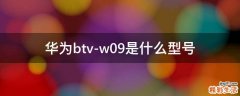 华为btv-w09是什么型号
