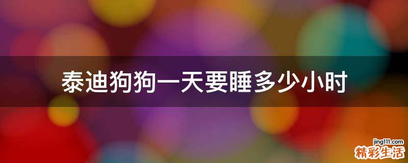 泰迪狗狗一天要睡多少小时