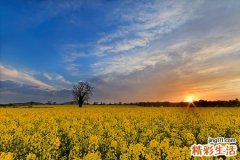 服六味地黄丸宜用淡盐水