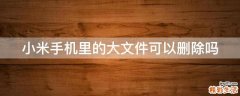 小米手机里的大文件可以删除吗